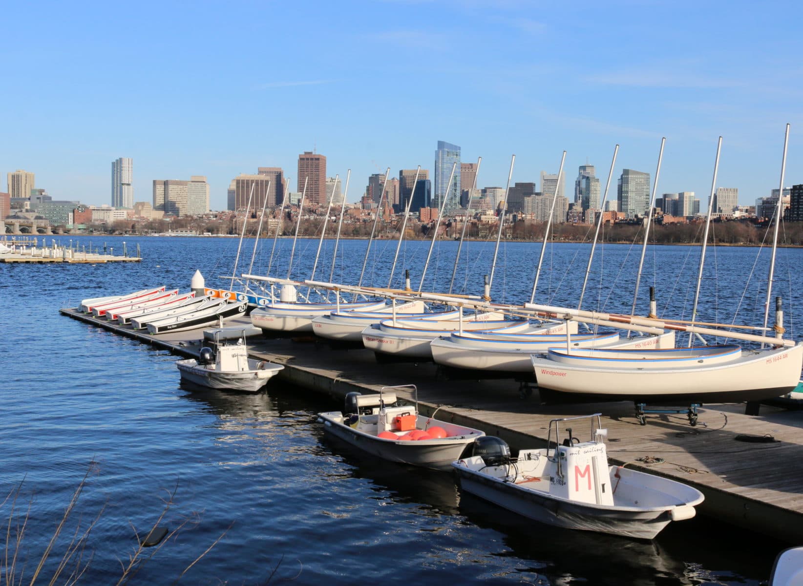 Sailboats on the Charles River near MIT
